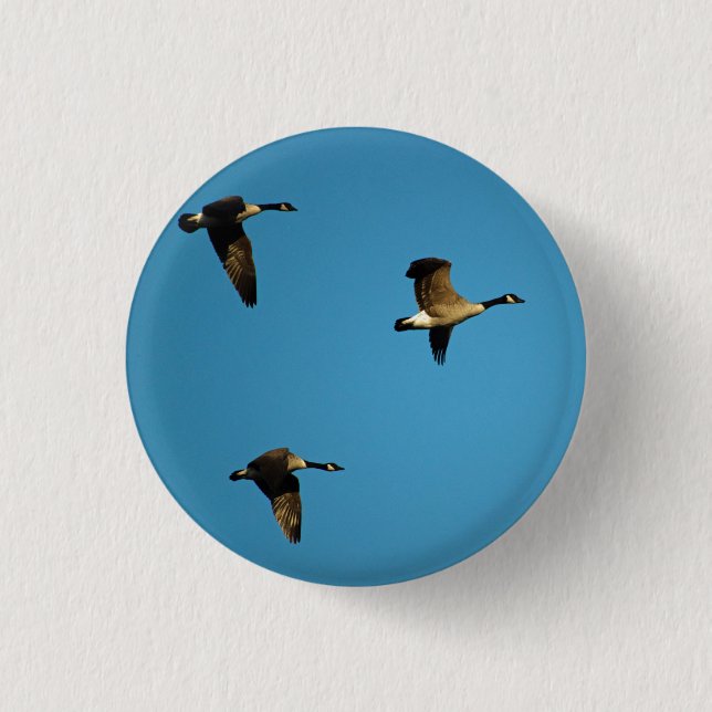 Canadian geese in flight button (Vorderseite)