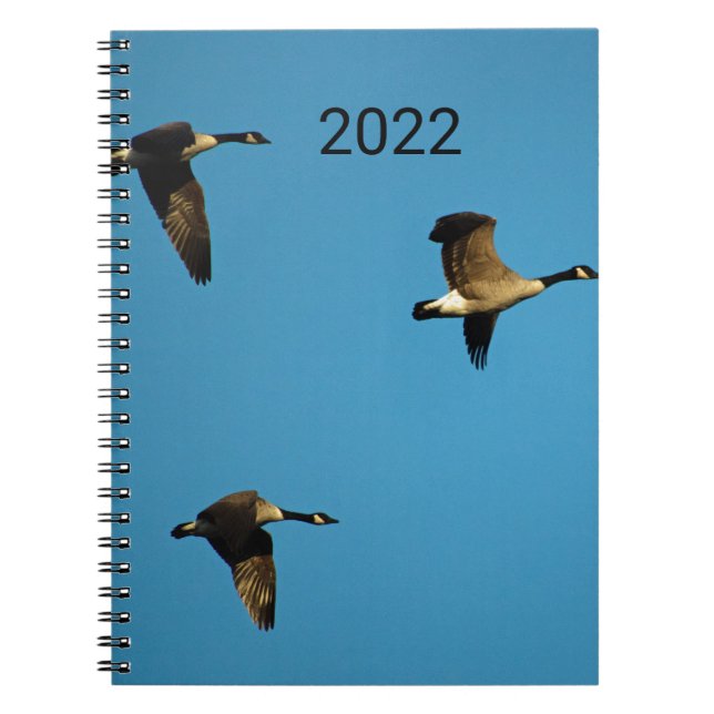 Canadian geese in flight notizblock (Vorderseite)