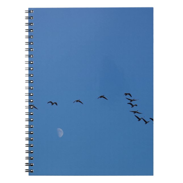 Canadian geese in flight notizblock (Vorderseite)