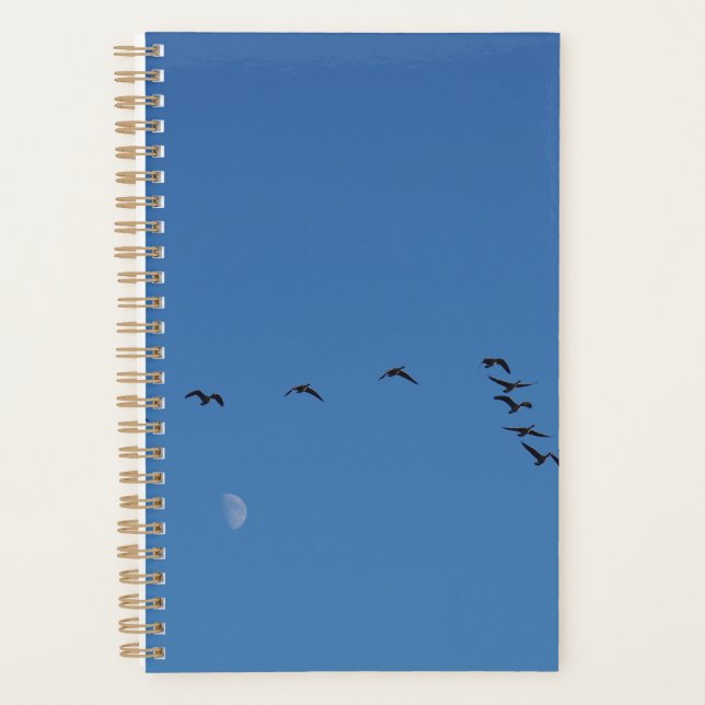 Canadian geese in flight planer (Vorderseite)