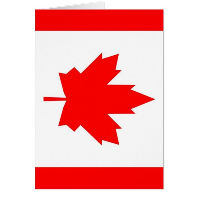 Canadian Maple (Vorne)