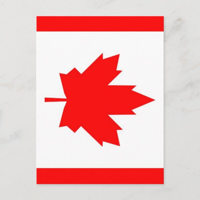 Canadian Maple Postkarte (Vorderseite)