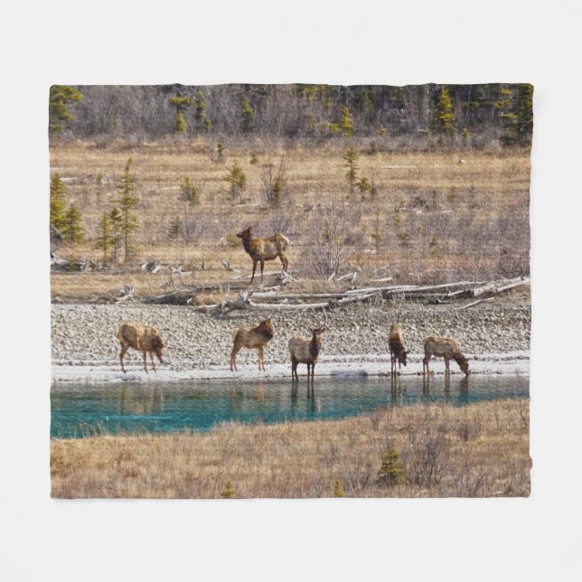 Canadian Rockies Wapiti (Elk) Fleecedecke (Vorderseite (Horizontal))