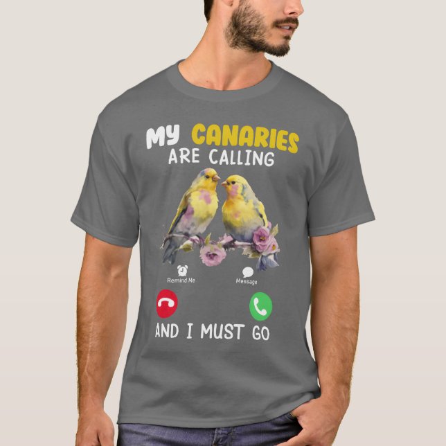 Canary Bird Meine Kanaren rufen den Vogel Lover Ju T-Shirt (Vorderseite)