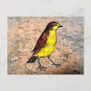 Canary Bird Postkarte