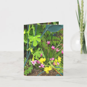 Canary & RedStar Note Card Karte