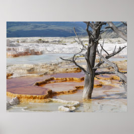 Canary Springs Yellowstone Nationalpark Poster
