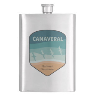 Canaveral National Seashore Florida Seagulls Flachmann