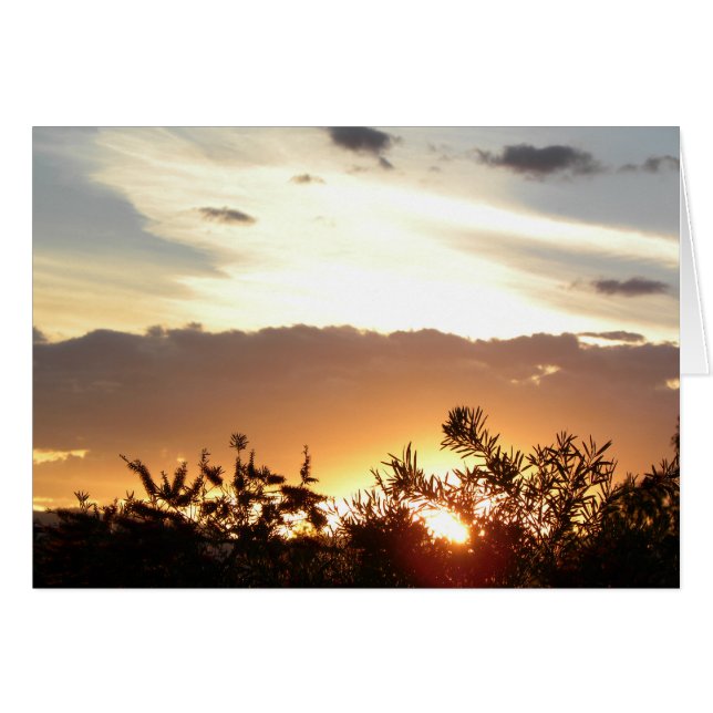 Canberra Sunset (Vorderseite (Horizontal))