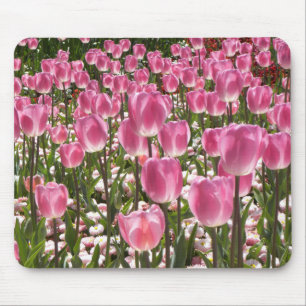 Canberra-Tulpen Mousepad