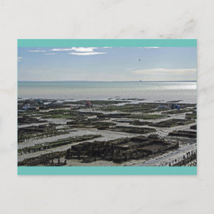 Cancale Oyster Park Frankreich Postkarte