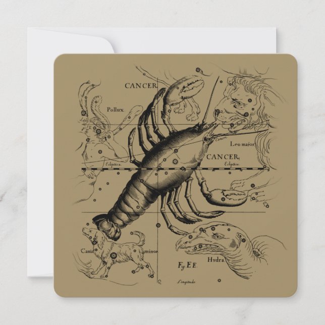 Cancer Constellation Hevelius 1690 Juni 21-Juli 22 (Vorderseite)