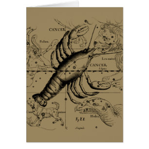 Cancer Zodiac Constellation by Hevelius 1690