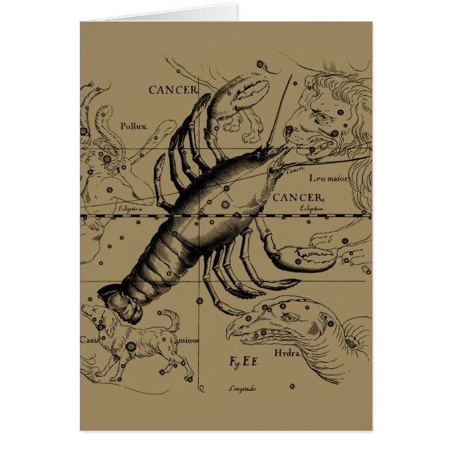 Cancer Zodiac Constellation by Hevelius 1690 (Vorne)