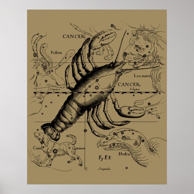 Cancer Zodiac Constellation by Hevelius 1690 Poster (Vorne)