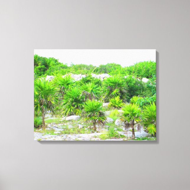 CANCUN, MEXIKO #14 CANVAS PRINT LEINWANDDRUCK (Vorderseite)
