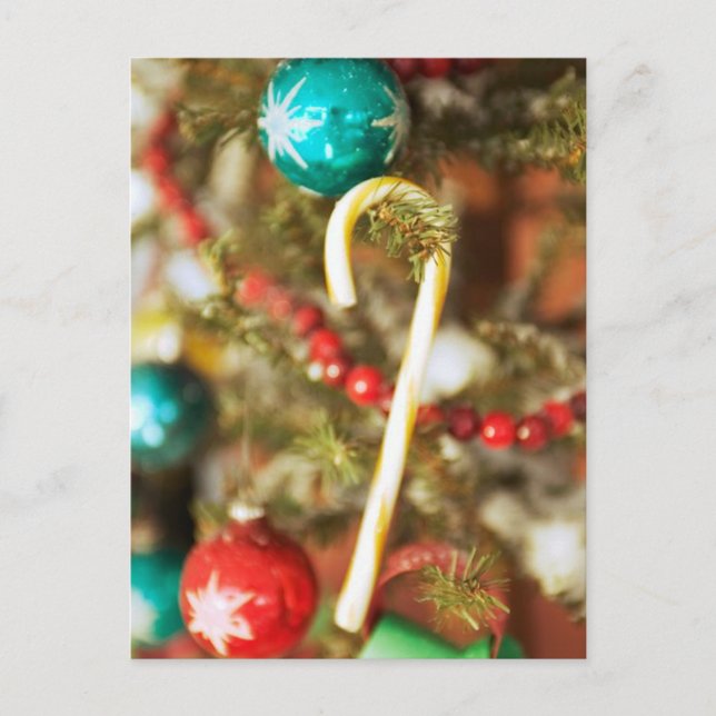 Candy Cane auf Baumkarten und Aufklebern Postkarte (Vorderseite)
