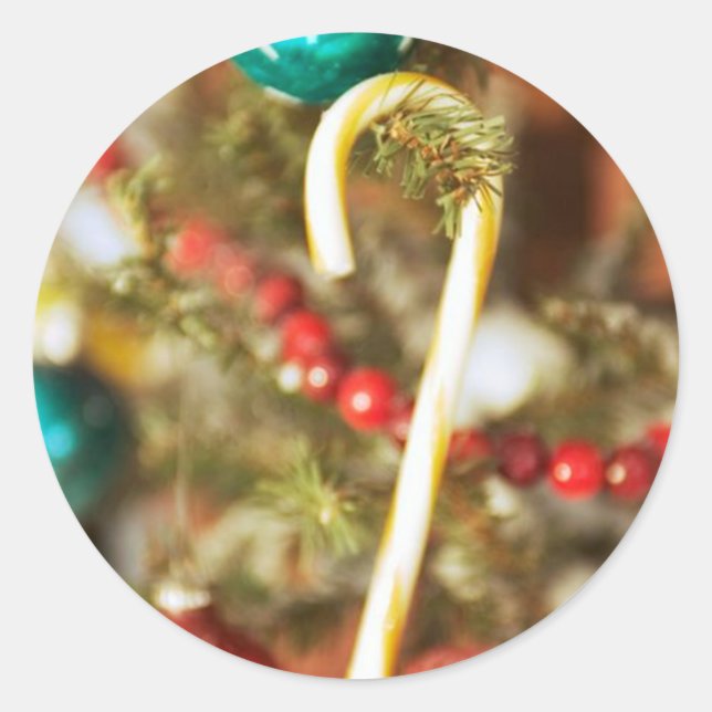 Candy Cane auf Baumkarten und Aufklebern Runder Aufkleber (Vorderseite)