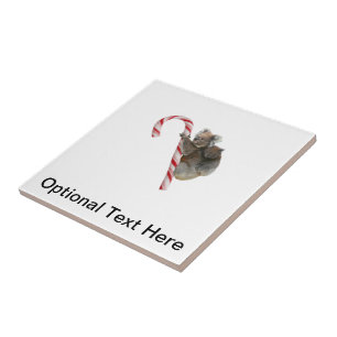 Candy Cane Australian Koala Bears Fliese