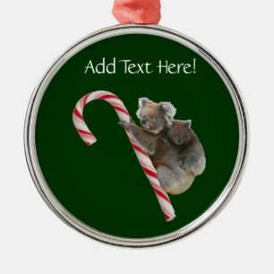 Candy Cane Australian Koala Bears Silbernes Ornament