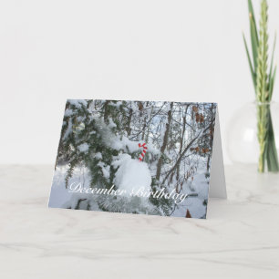 Candy Cane Decoration - Dezember Geburtstag Karte