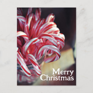 Candy Cane, Jingle Bells, Christmas Candy Holiday Postkarte