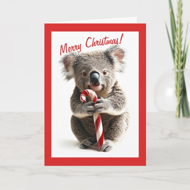 Candy Cane Koala Weihnachtskarte Karte (Vorderseite)