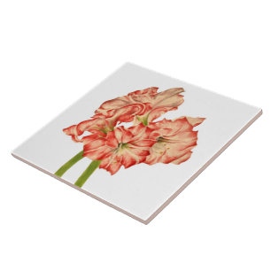 Candy Cane Lilies auf der Keramik Tile Fliese
