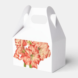 Candy Cane Lilies auf einer Gable-Favor-Box Geschenkschachtel