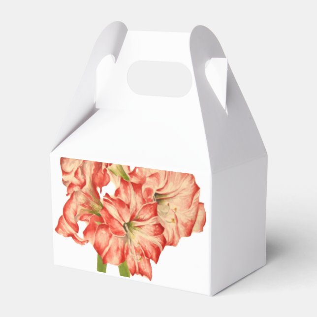 Candy Cane Lilies auf einer Gable-Favor-Box Geschenkschachtel (Vorderseite)