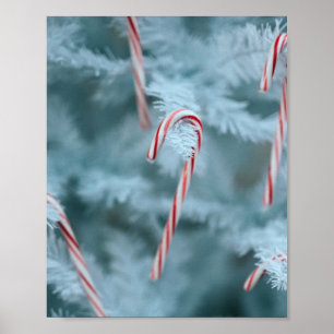 Candy Cane on Tree Poster