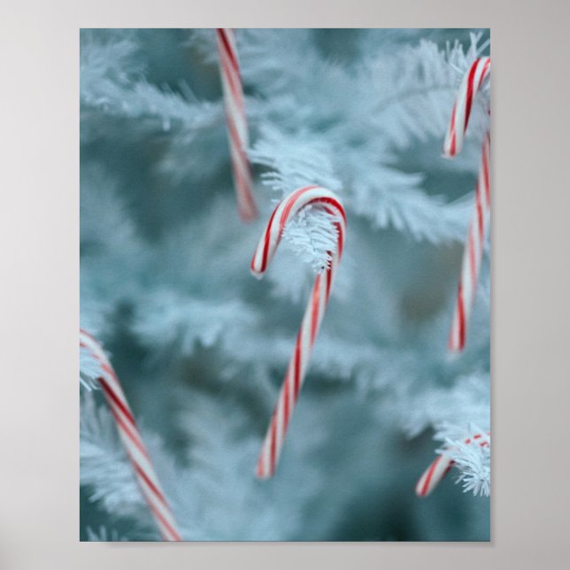 Candy Cane on Tree Poster (Vorne)