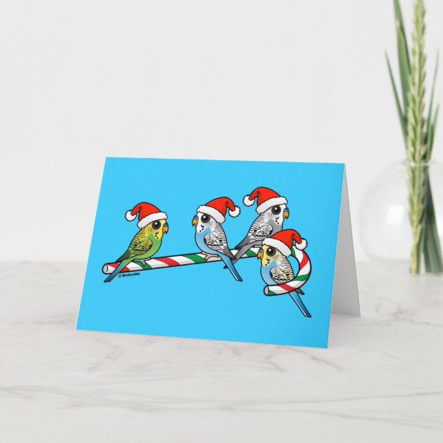 Candy Cane Santa Budgies Feiertagskarte (Vorderseite)