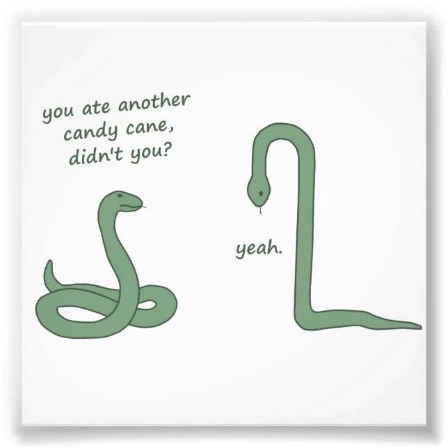 Candy Cane Snake Fotodruck (Vorne)