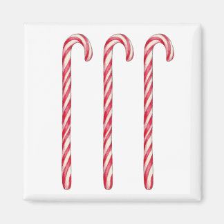 Candy Canes Magnet