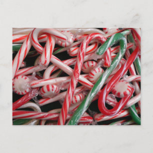 Candy Canes und Pfefferminz Weihnachtsfeiertag Postkarte