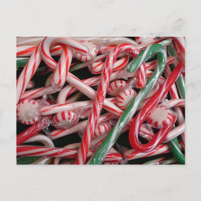 Candy Canes und Pfefferminz Weihnachtsfeiertag Postkarte (Vorderseite)