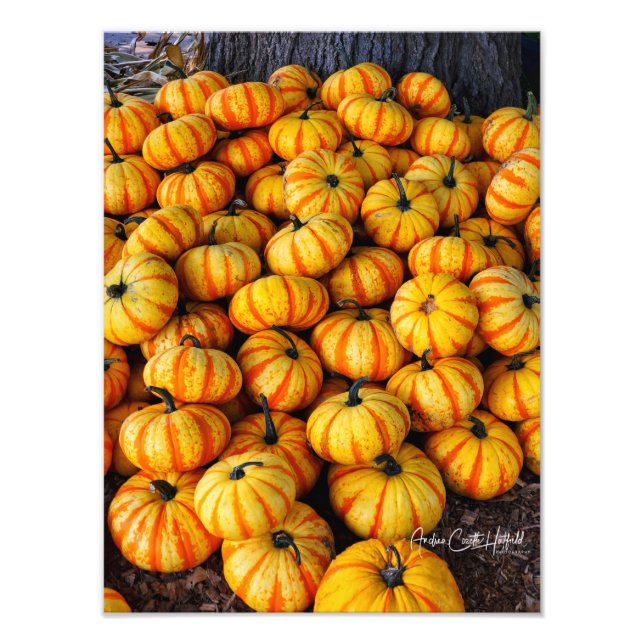 Candy Corn Fotodruck (Vorne)