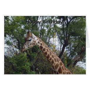 Candy die Giraffe, Geburtstagskarte