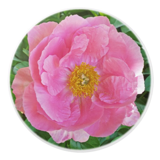 CANDY-PINK PEONY KERAMIKKNAUF (Vorderseite)