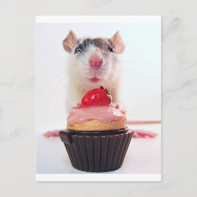 Candy Rat Postkarte (Vorderseite)