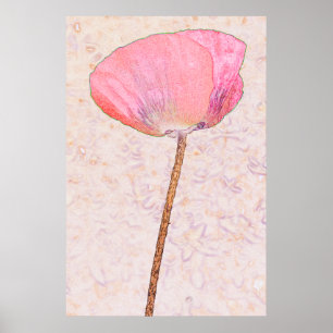 Candy rosa Mohn ...Poster Poster