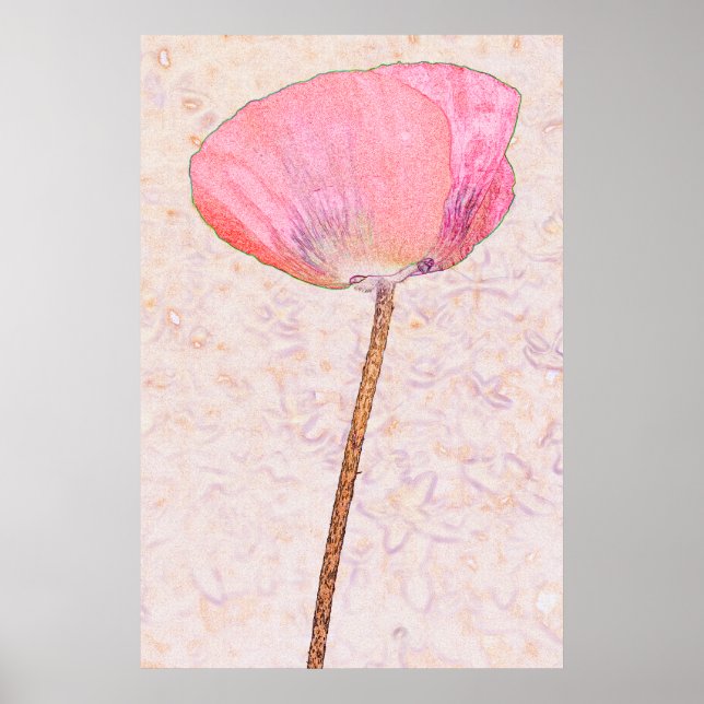 Candy rosa Mohn ...Poster Poster (Vorne)