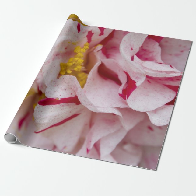 Candy Striped Camellia Wrapping Paper Geschenkpapier (Ungerollt)
