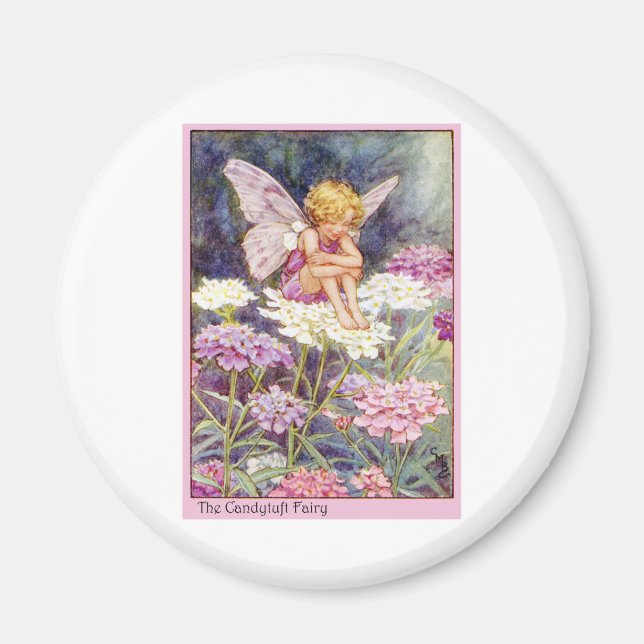 Candytuft Fairy Magnet (Vorne)