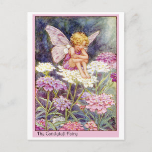 Candytuft Fairy Postkarte