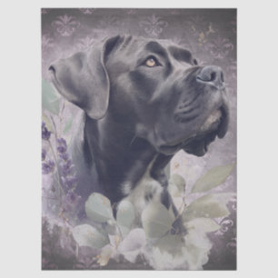 Cane Corso Blumenhund Seidenpapier