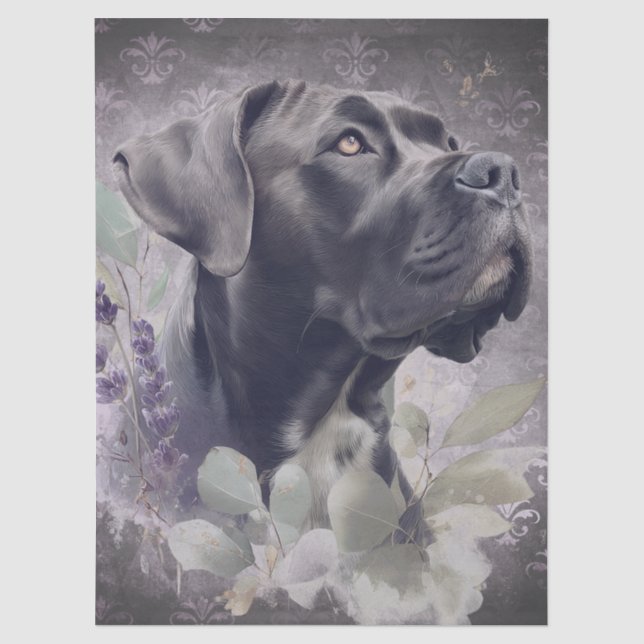 Cane Corso Blumenhund Seidenpapier (Vorderseite)