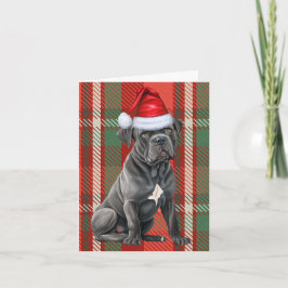 Cane Corso Christmas Dog Red Kariert Weihnachten