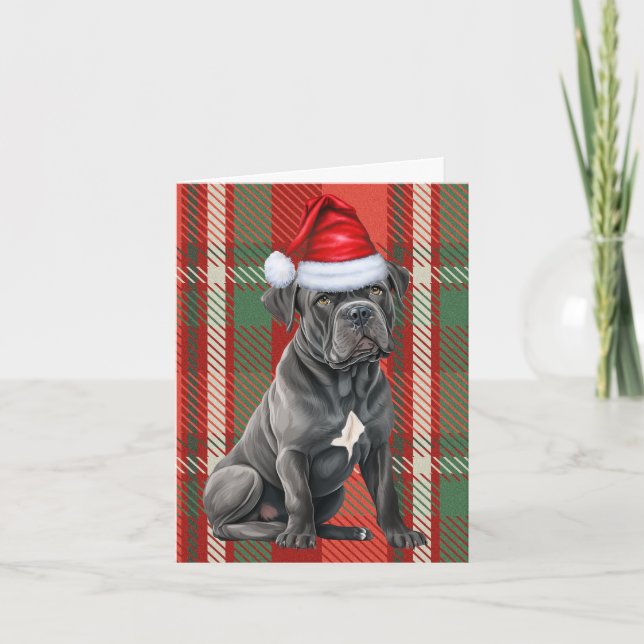 Cane Corso Christmas Dog Red Kariert Weihnachten (Vorderseite)